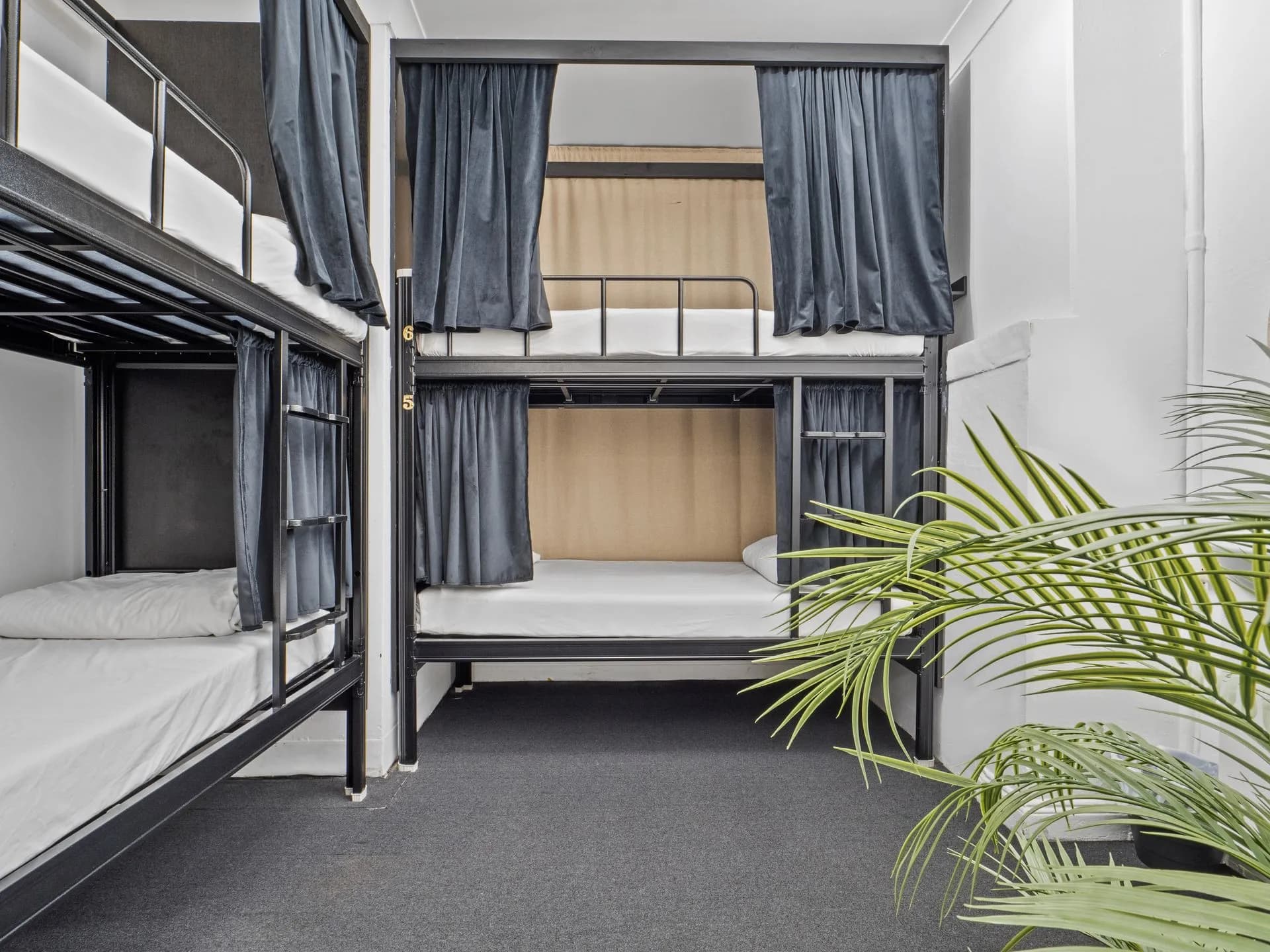 Rooftop party in Sydney