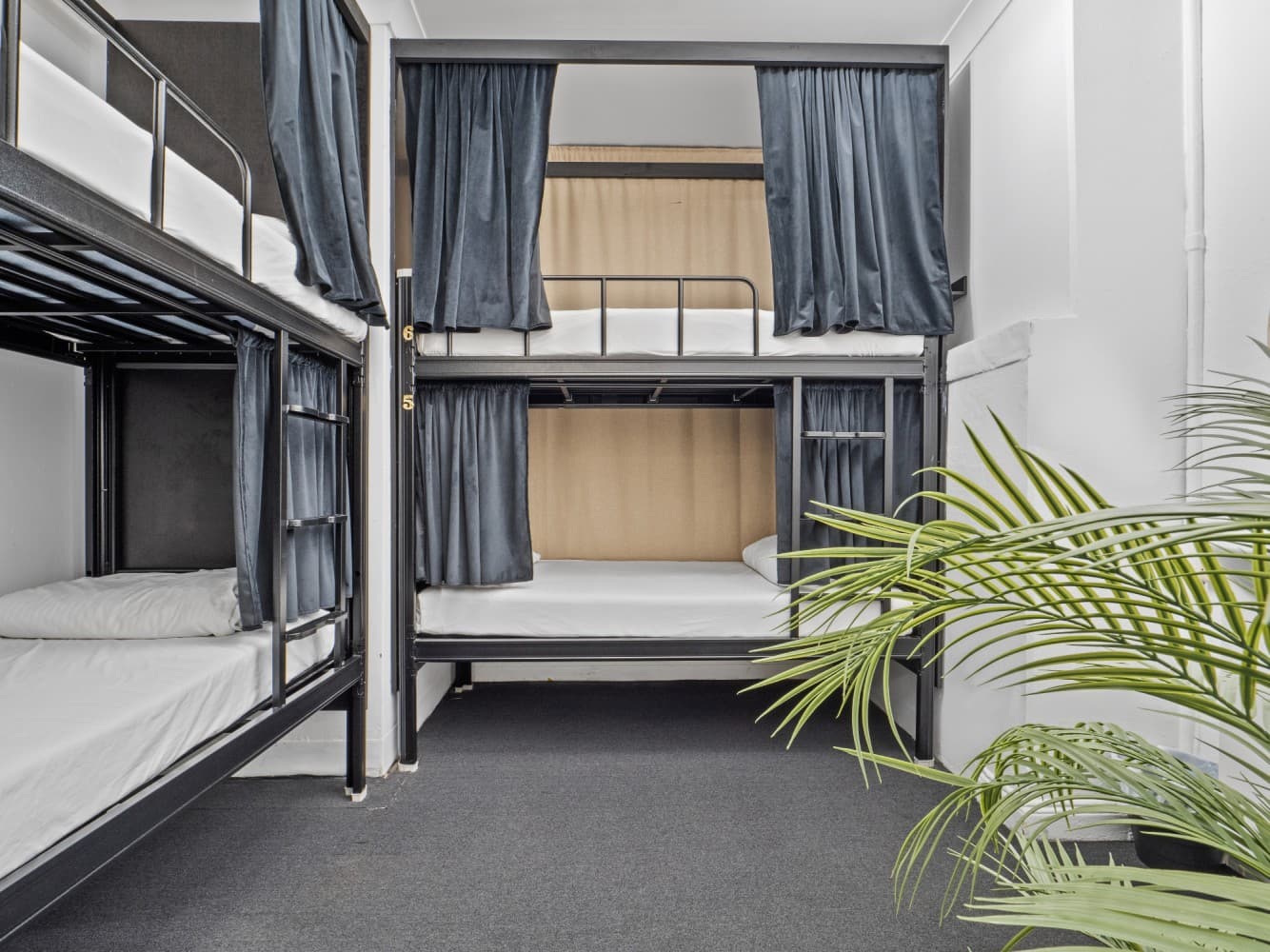 Private Room for 4 people (Ensuite Bathroom) — Photo 1